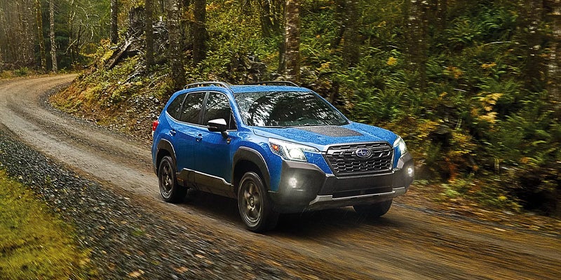 Blue Subaru Forester SUV driving on a winding gravel road through a forested area
