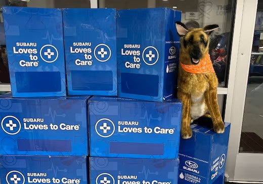 Plush dog with orange bandana sits among stacks of blue SUBARU Loves to Care boxes